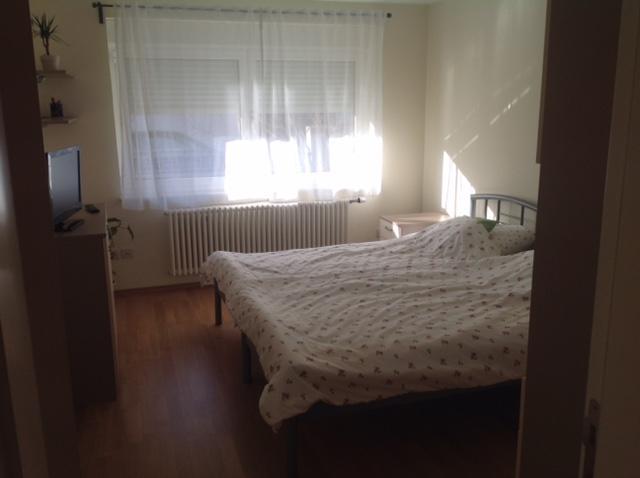Appartamento Jasna